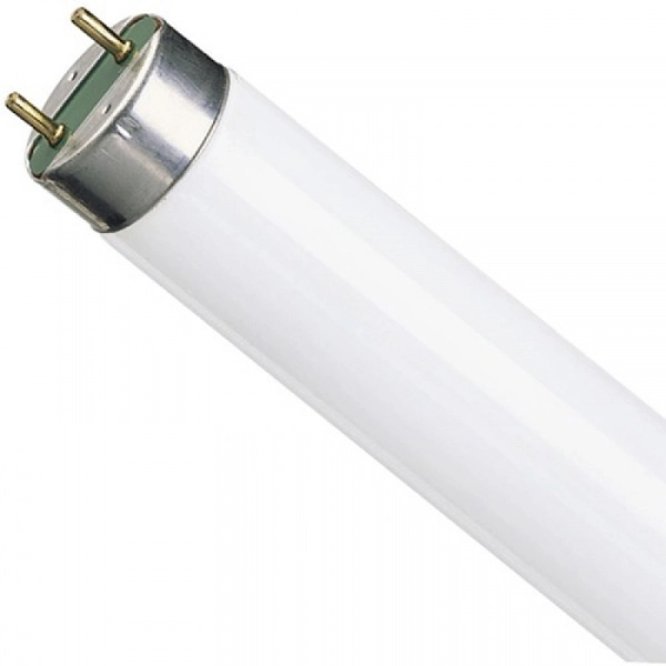 детальное изображение Лампа люминесцентная OSRAM T8 BASIC L 15W/765 G13 4008321959638
