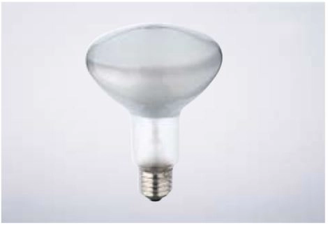 детальное изображение Лампа галогенная Dr.Fischer 220V 150W E27 R.95x131 77841423