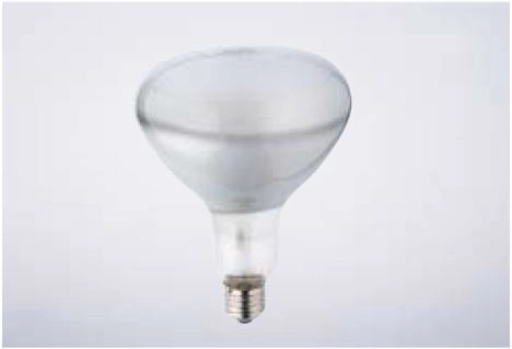 детальное изображение Лампа галогенная Dr.Fischer 240V 500W E27 R.125x168 77841411
