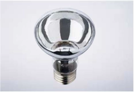 детальное изображение Лампа сигнальная Dr.Fischer 12V 50W E27 842587