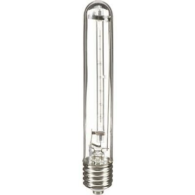 детальное изображение Лампа галогенная Ushio JT220V-500WC1 E39/E40 1003516